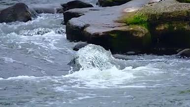 实拍溪水冲刷岩石特写镜头视频的预览图